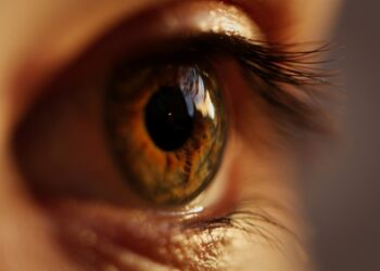 Close-up of a brown-colored eye