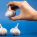 A hand is holding a single head of garlic, suspended in the air. Two other heads of garlic are resting on a surface below. The background is a solid, vibrant blue.