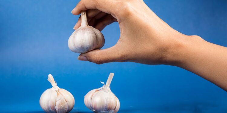 A hand is holding a single head of garlic, suspended in the air. Two other heads of garlic are resting on a surface below. The background is a solid, vibrant blue.
