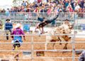 A bull rider flies through the air as the bull obviously wins this contest.