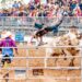 A bull rider flies through the air as the bull obviously wins this contest.