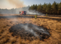 Hoe ontstaat een natuurbrand in Nederland en wat te doen bij brand