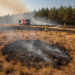 Hoe ontstaat een natuurbrand in Nederland en wat te doen bij brand