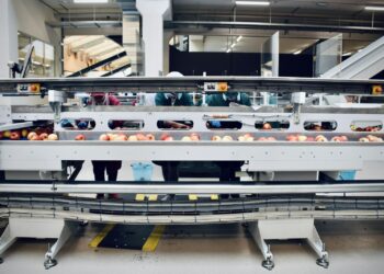 Stapel kleine pakketjes op een sorteerband