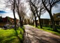Rijtjeshuizen in een Nederlandse woonstraat met koopwoningen