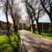 Rijtjeshuizen in een Nederlandse woonstraat met koopwoningen