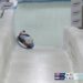 Kimberley Bos op haar slee in de ijsbaan van Lake Placid tijdens het WK skeleton 2025