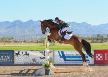 Ruiter met paard springt over een hindernis tijdens een springwedstrijd